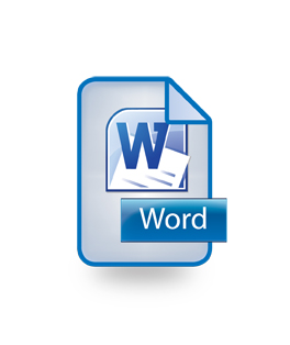 Word Icon