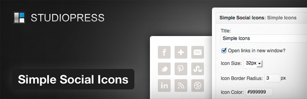 610x198 Introducing The Simple Social Icons Plugin For Wordpress