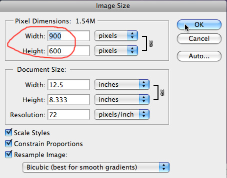 Site Icon Dimensions 454x357 Site Icon Dimensions