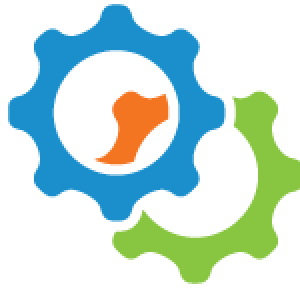 300x300 Icon Workflow Infrastructure