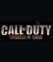 176x208 Call Of Duty World