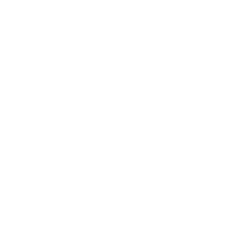 256x256 White Globe Icon