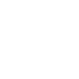 256x256 White World Map Icon