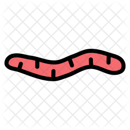 256x256 Worm Icon Of Doodle Style