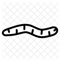 256x256 Worm Icon Of Line Style