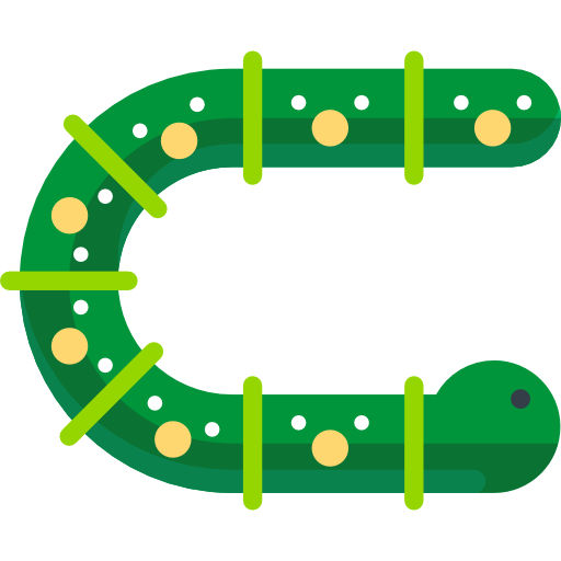 512x512 Worm Icon