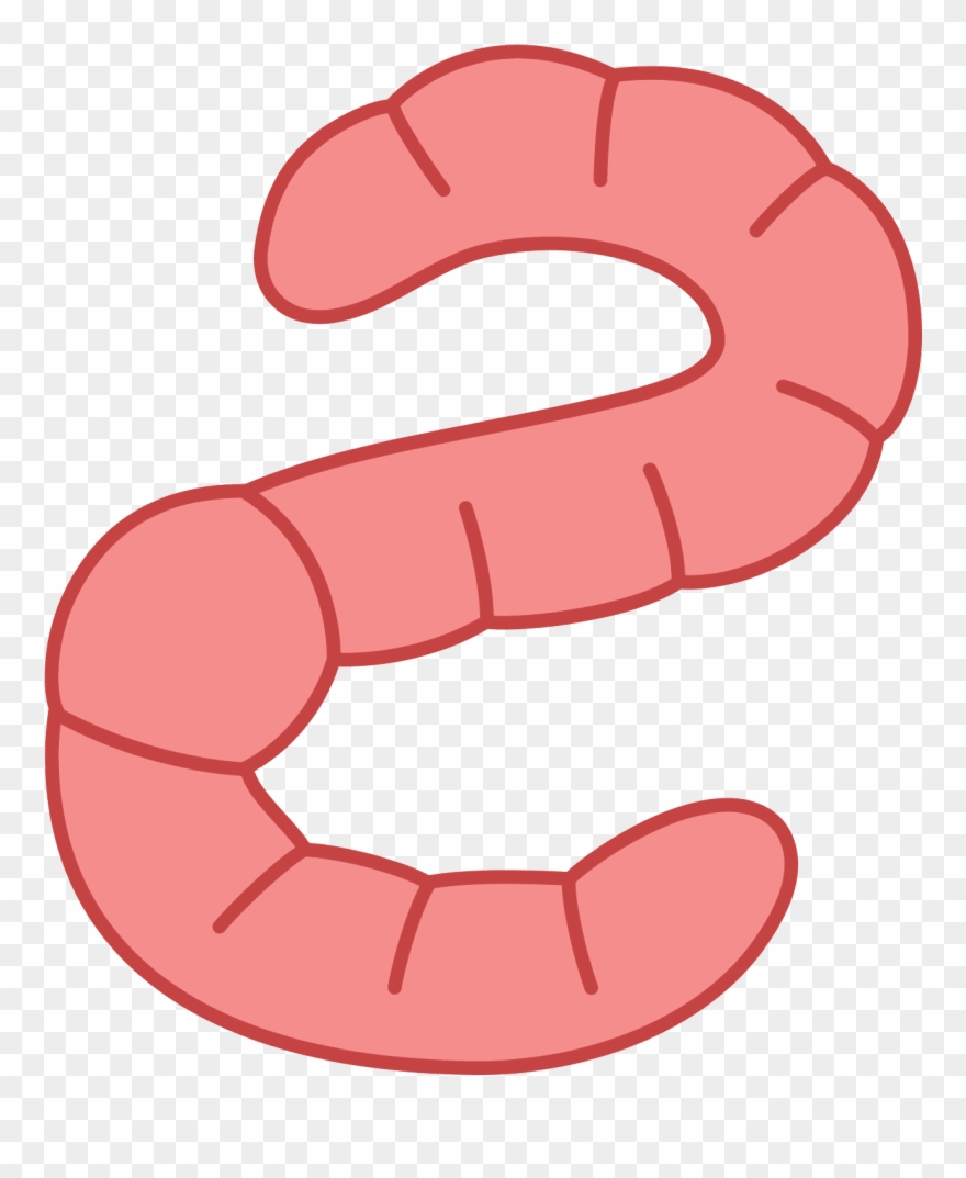 880x1073 Earth Worm Icon