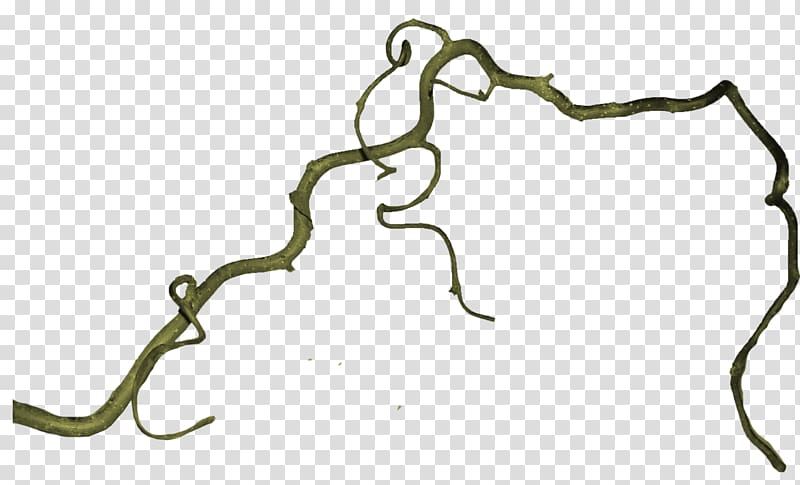 800x485 Tree Icon, Wound Strip Bending Branches Transparent Background Png