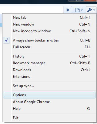 316x403 What Is Auto Translation Webpage Feature In Google Chrome