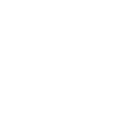 256x256 White Google Plus Icon