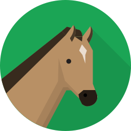 256x256 Horse Icon