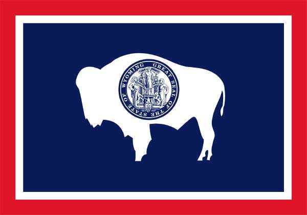 600x420 Wild Bison Are An Icon For Wyoming And America The Publicly