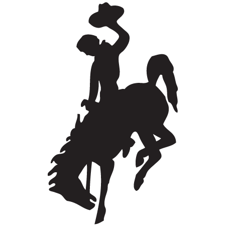 450x450 Bucking Bronco Icon