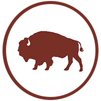 200x200 Freedom Fighters Bail Bonds