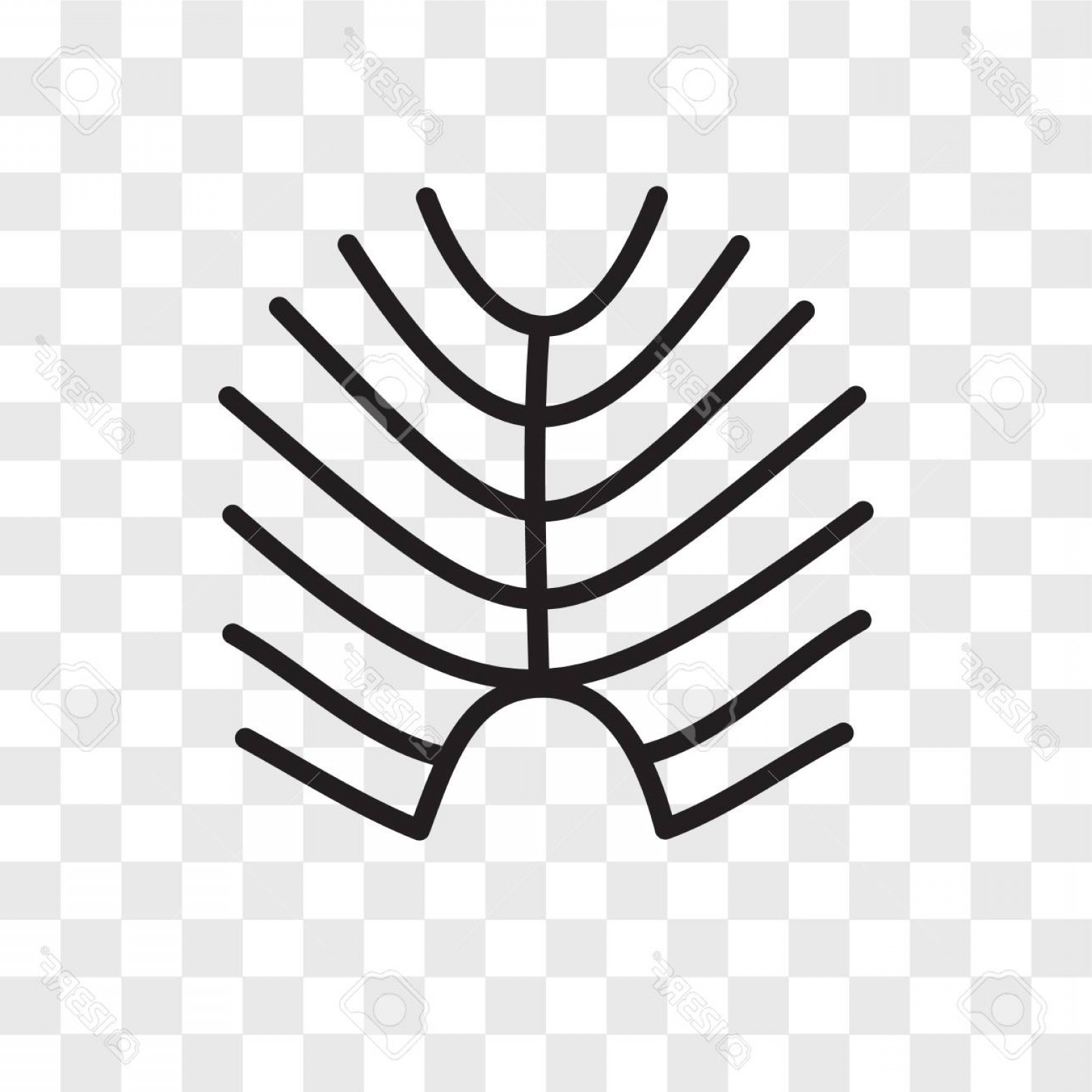 1560x1560 Photostock Vector X Ray Vector Icon Isolated On Transparent