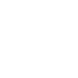 256x256 White Letter X Icon
