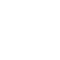 256x256 Free White Letter X Icon