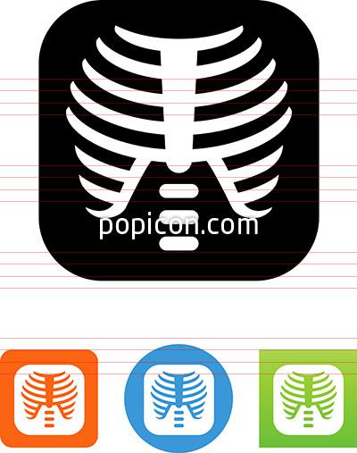 400x507 X Ray Icon