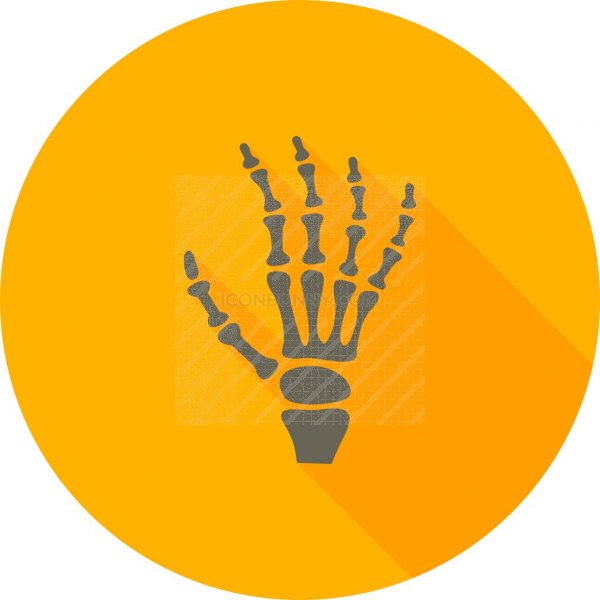 600x600 X Ray Flat Shadowed Icon