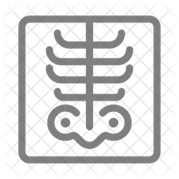 256x256 X Ray Icon Of Line Style