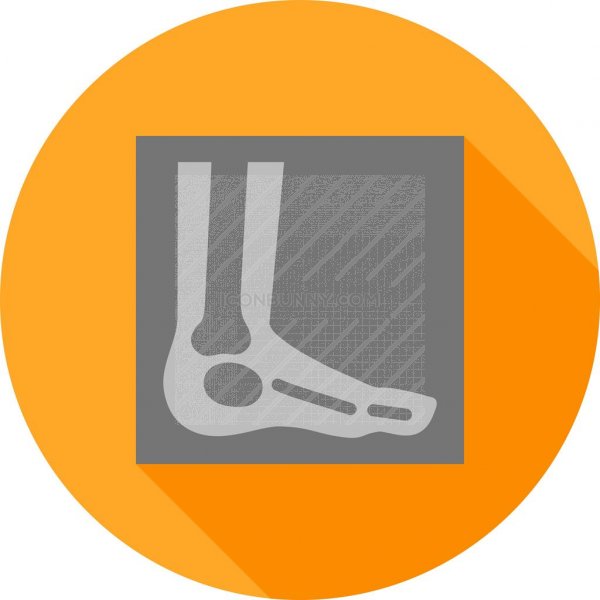 600x600 Foot X Ray Flat Shadowed Icon