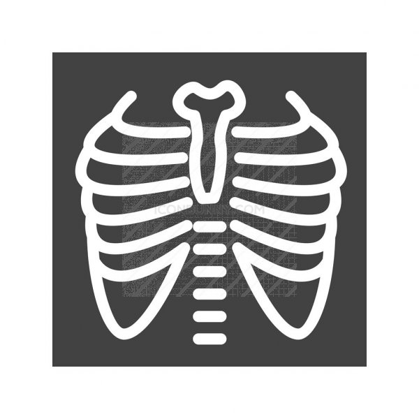 600x600 Lungs X Ray Glyph Icon