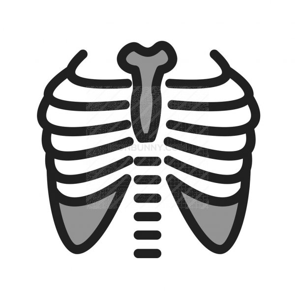 X Ray Icon at Vectorified.com | Collection of X Ray Icon free for ...