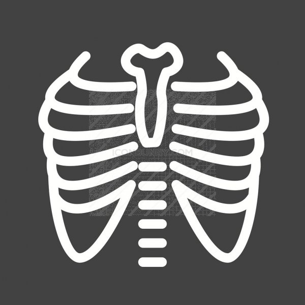 600x600 Lungs X Ray Line Inverted Icon