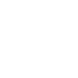 256x256 Free White Xbox Icon