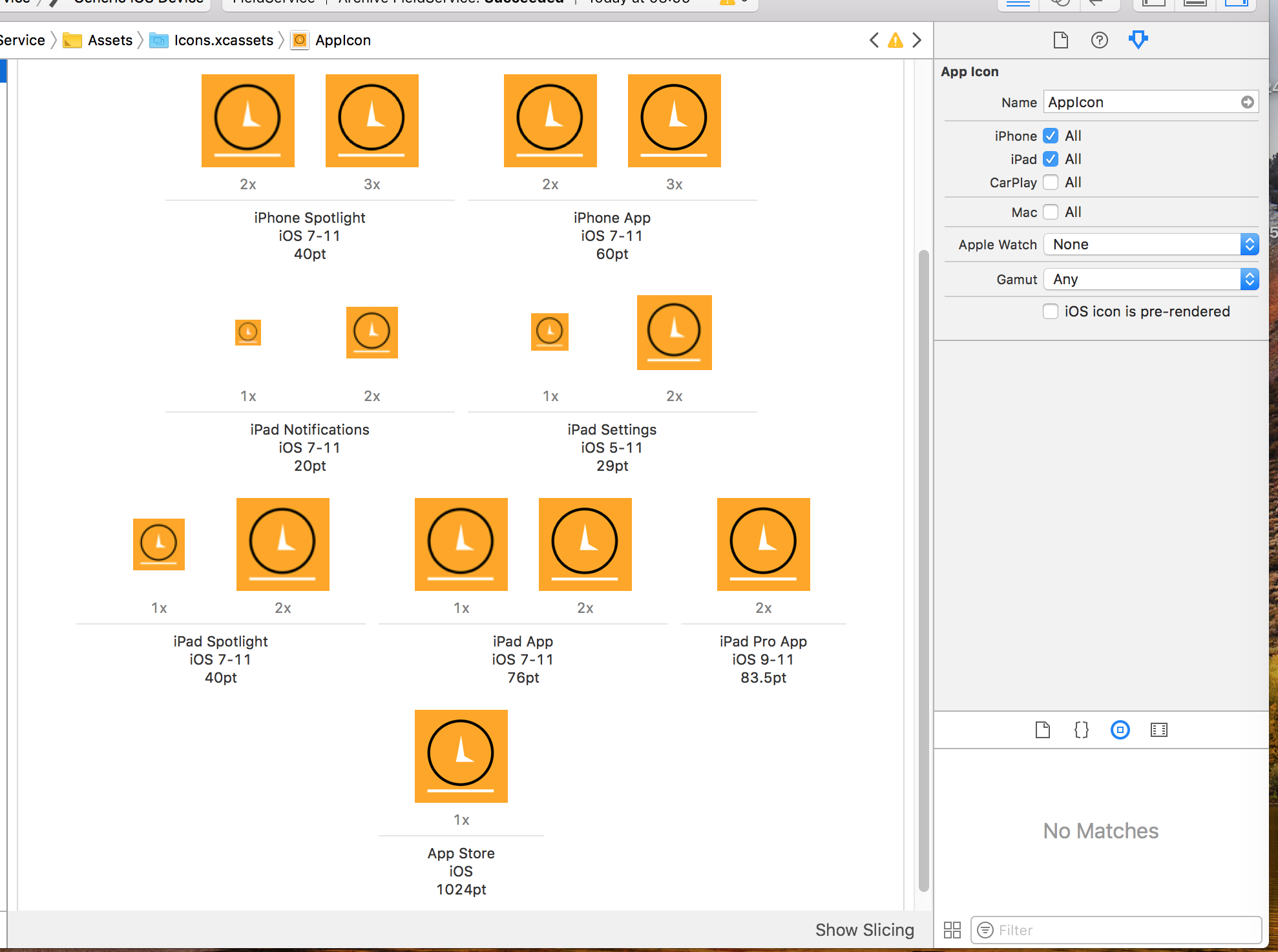 single view app not showing xcode