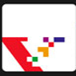 300x301 Icon Pop Brand Image