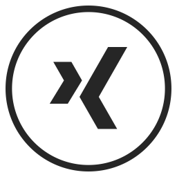 256x256 Xing Icon Of Glyph Style