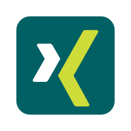 256x256 Xing Logo Icon Of Flat Style