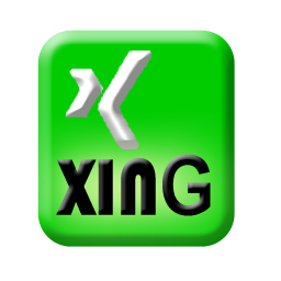 256x256 Social Networking Free Download Xing Icons Gif Png