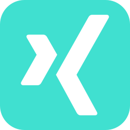 256x256 Free Turquoise Xing Icon