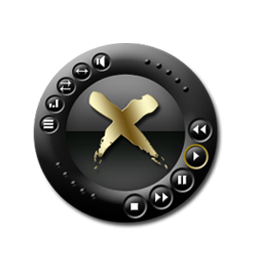 Xion Gold Icon Download Black And Gold Icons Iconspedia 256x256 Xion Gold Icon Download Black And Gold Icons Iconspedia