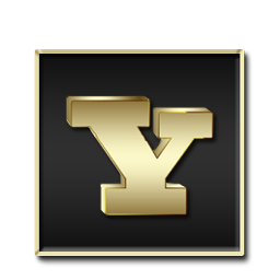 256x256 Yahoo Icon Free Icons Download