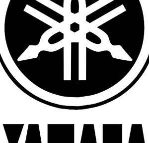 300x287 Icomania Image