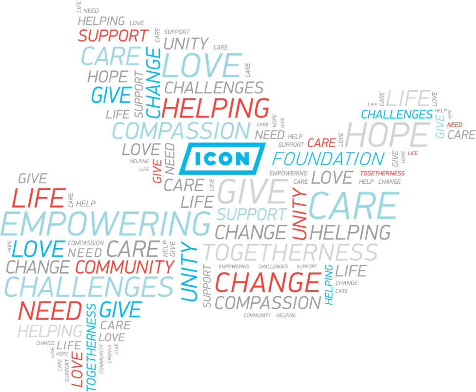 976x804 Hd Icon Foundation Logo