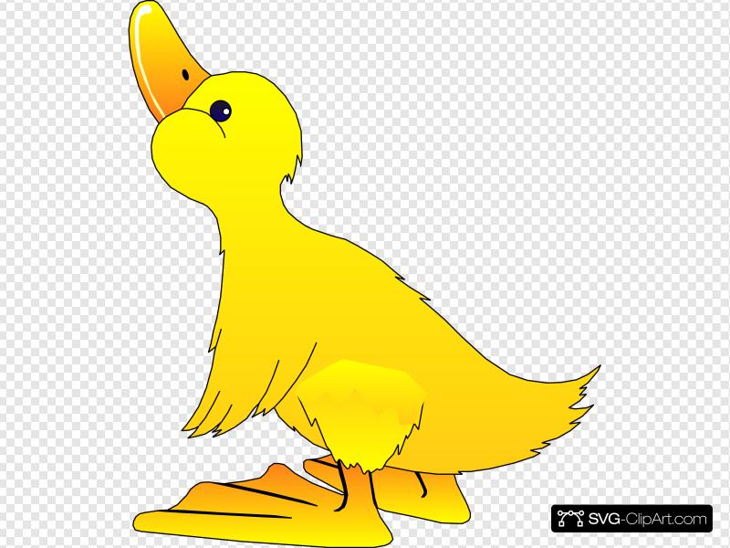 800x600 Yellow Chick Clip Art, Icon