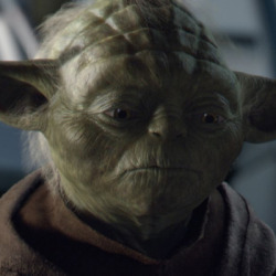 250x250 Yoda Icons Tumblr