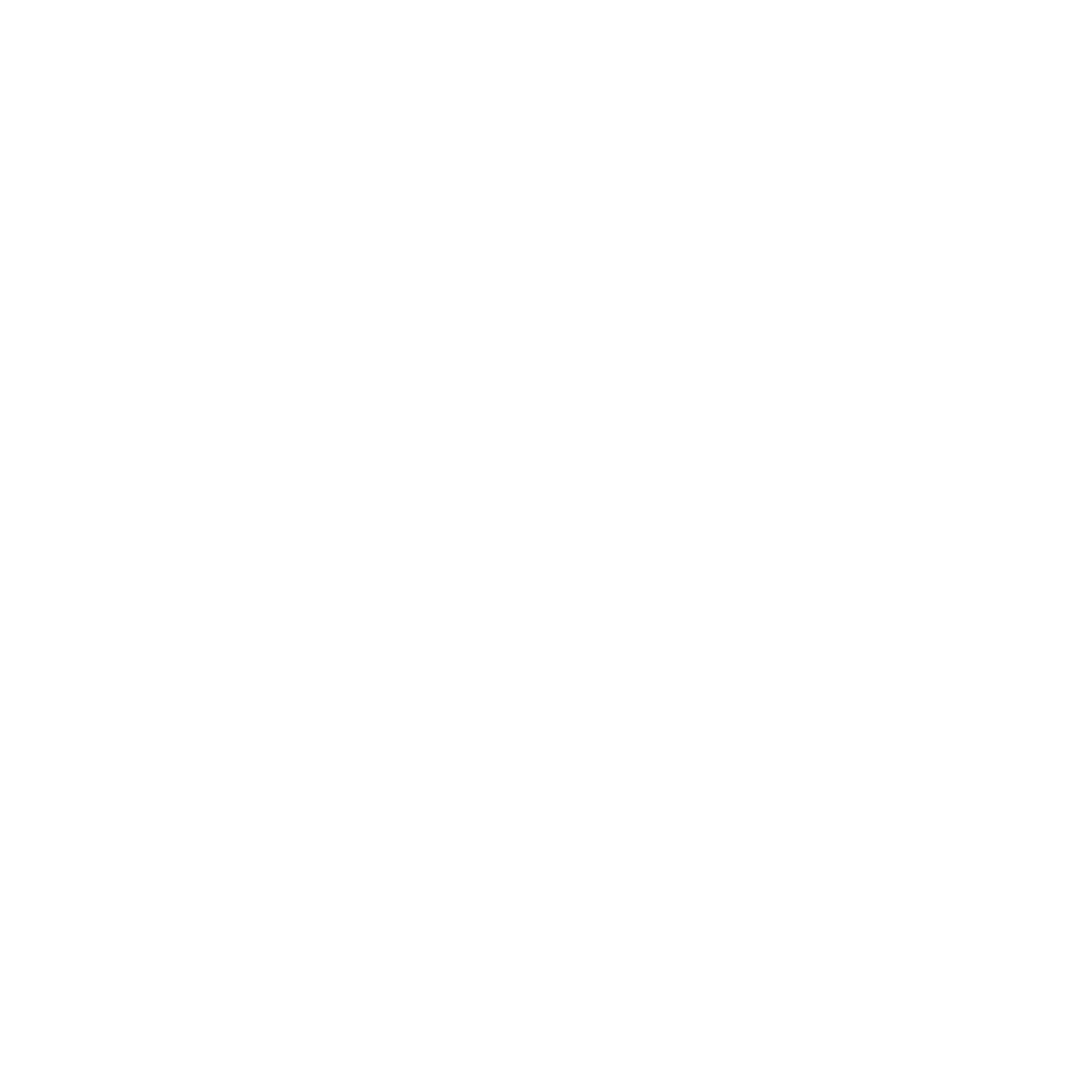 1600x1600 The Most Beautiful White Yorkies Karmic Yorkies South Africa