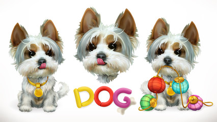 426x240 Yorkie Vector Photos, Royalty Free Images, Graphics, Vectors