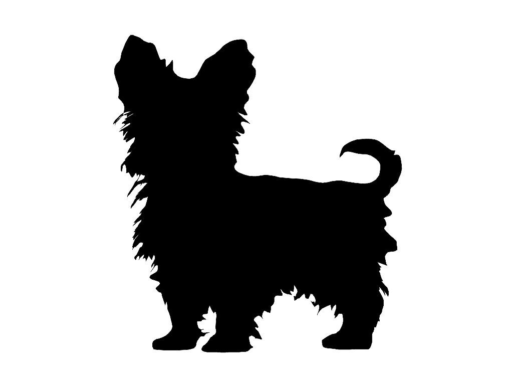 1024x768 Silhouette Yorkshire Terrier