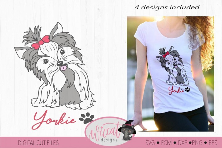 720x480 Free Yorkie Yorkie Color Girl Dog, Girly Dog