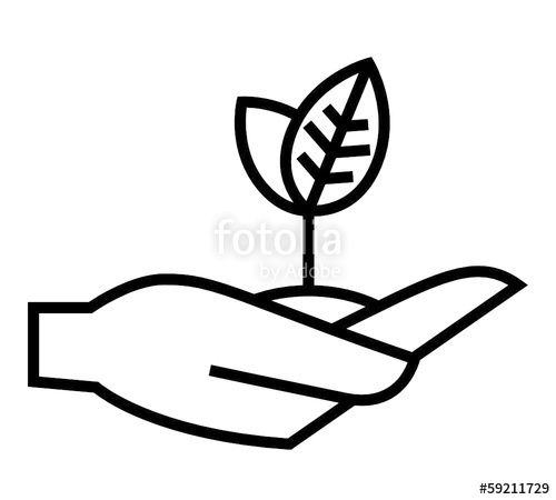 500x450 Young Plant On Hand Vector Icon Stock Image And Royalty Free