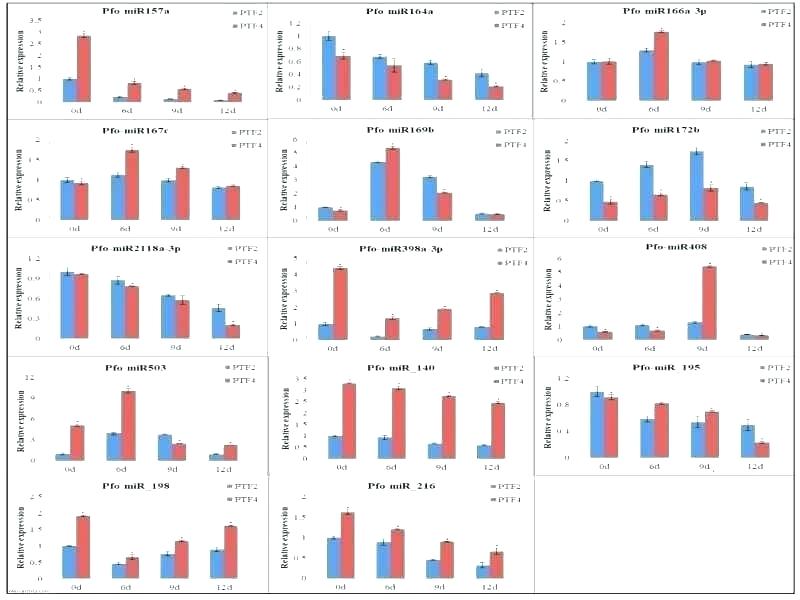800x600 Youtube Logo Template Maker