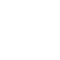 256x256 Free White Youtube Icon