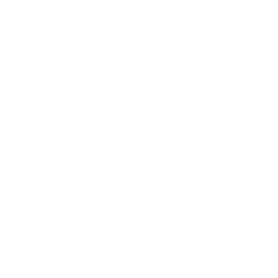 256x256 Free White Letter Z Icon