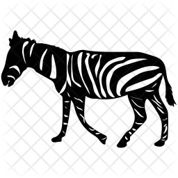 256x256 Zebra Icon Of Glyph Style